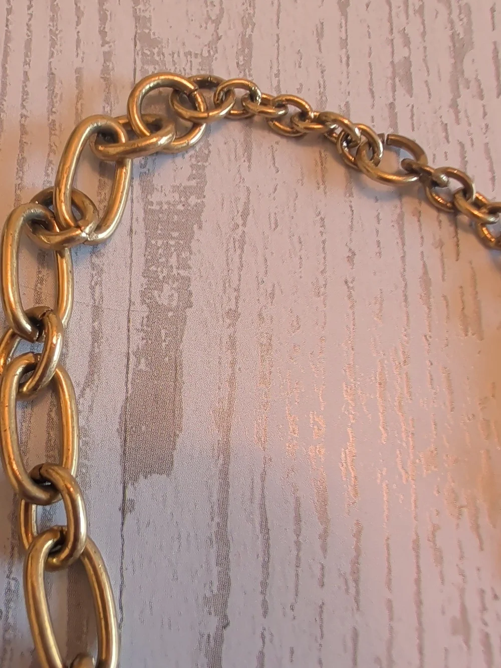 J. Crew Gold Chain with Brown & Black Tortoiseshell Links Necklace
